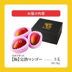 【2026年6月以降お届け】極　完熟マンゴー（3玉：約1.3kg）_完熟マンゴー 3玉 約 1.3kg 久留米産 平均糖度 17度～18度 完熟 マンゴー 国産 フルーツ トロピカルフルーツ 果物 デ