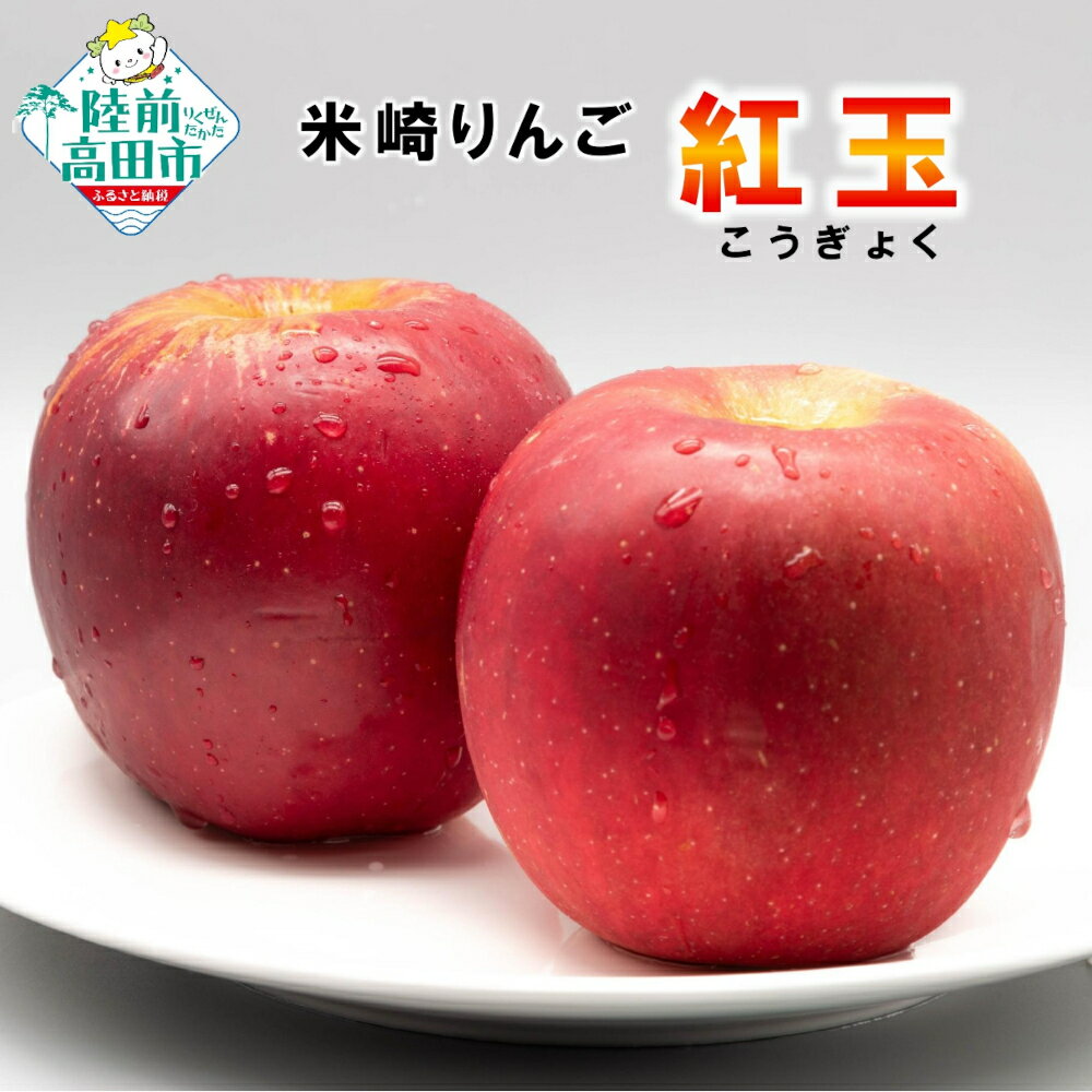 【ふるさと納税】旬の りんご 3kg〈 品種 紅玉 〉 料理・お菓子におすすめ ( 加工用 ) [ フルーツ リンゴ 林檎 アップル 果物 米崎りんご こうぎょく 期間限定 数量限定 ジャム アップルパイ 料理 お菓子 人気 ジューシー 産地直送 新鮮 旬 家庭用 訳あり 岩手 陸前高田 ]