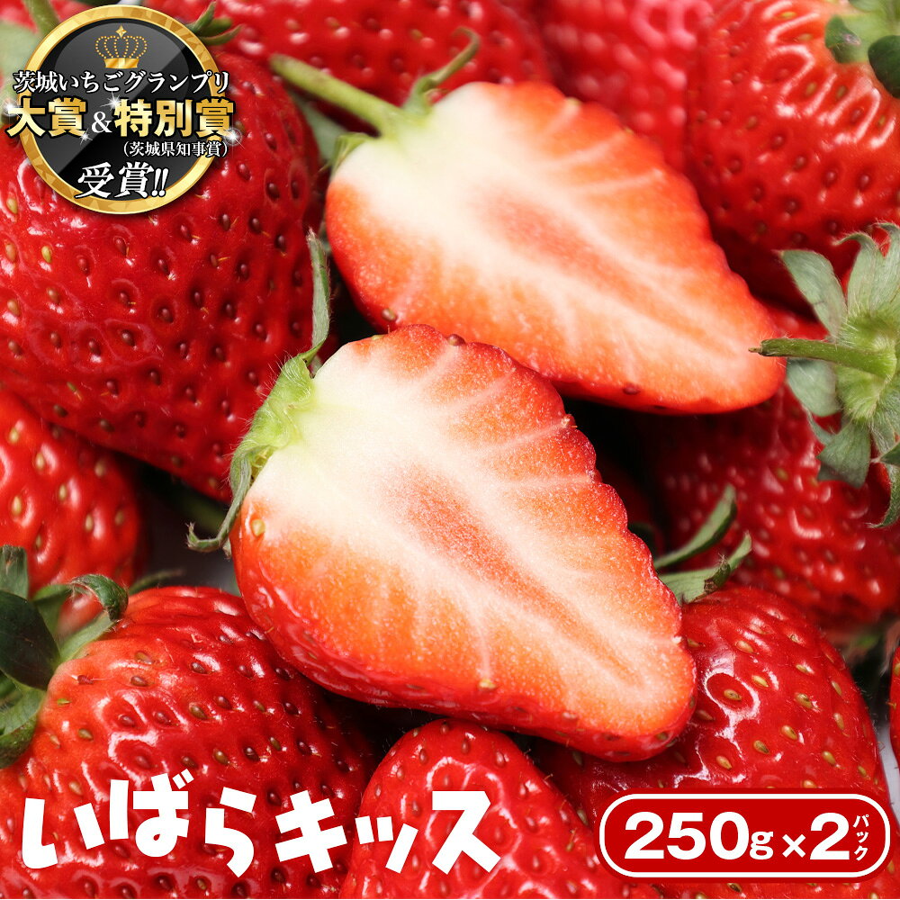 【ふるさと納税】 【配送可能地域：指定あり】茨城いちごグランプリ 大賞＆特別賞（茨城県知事賞）受賞！！いばらキッス2パック（500g） ／ いちご 果物 フルーツ オリジナル品種 新鮮 産地直送 高糖度 酸味 濃厚 ジューシー 甘酸っぱい 果汁たっぷり 茨城県 No.880