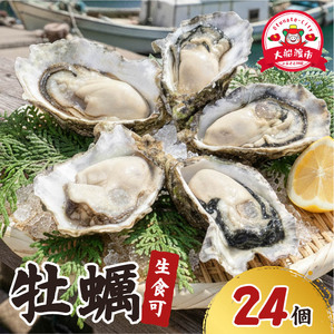 生食可 冷凍牡蠣 24個 殻付き牡蠣