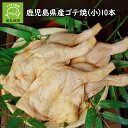 【ふるさと納税】鹿児島県産 ゴテ焼 小 120g 10本 ご馳走 骨付き 味付け 鶏もも肉 焼くだけ 簡単調理 便利 ふるさとの味 贈り物 手土産 ギフト対応 のし対応 指定日対応 骨付きチキン チキン 鶏肉 国産 お取り寄せ グルメ 南九州市 送料無料