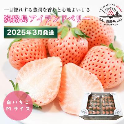 ふるさと納税 淡路市 淡路島アイランドベリー　白苺淡雪Mサイズ【2026年3月発送受付・お届け日指定不可】　as14827
