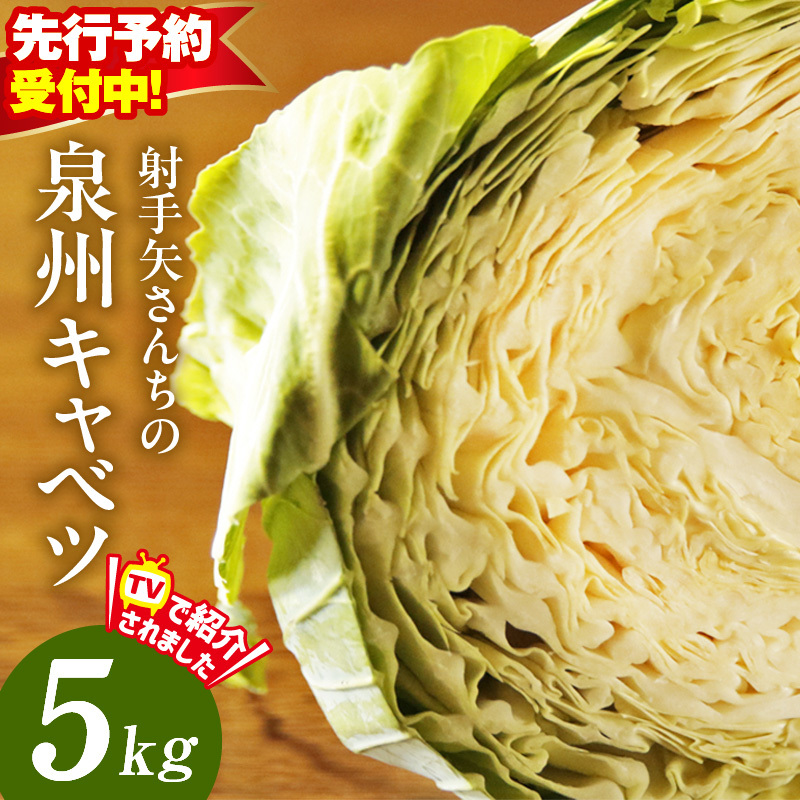 【先行予約】泉州キャベツ 5kg 2～5玉 【新鮮 野菜 泉佐野産 やさい 射手矢農園 高評価 数量限定 TVで紹介！】 G1624