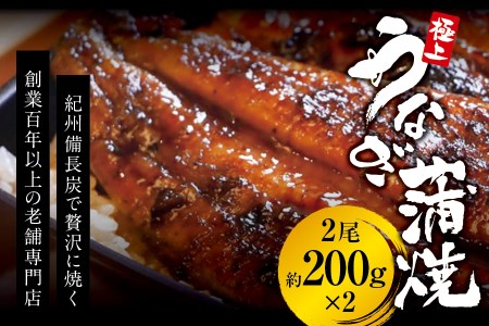 極上! 国産うなぎ蒲焼 2尾（約200g×2）【skr002A】