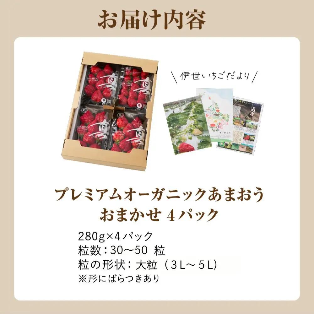 【先行予約】オーガニックあまおう 「いせいちご」 おまかせ4パック（大粒）_HA1019 | いちご あまおう