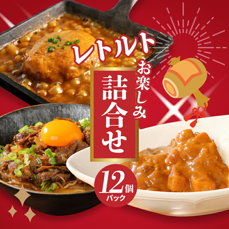 【ふるさと納税】お楽しみ福袋 レトルト詰め合わせ12パックセット - 3種類のレトルト食品 パウチ レトルトカレー/牛丼の具/ハンバーグカレー 常温保存 湯煎調理 お取り寄せグルメ ご当地グルメ 一人暮らし 新生活応援セット 保存食 送料無料【宮崎県木城町】