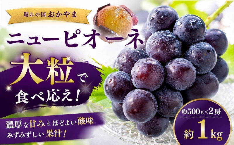 【2027年先行予約】岡山県産 ニューピオーネ 約500g×2房 約1kg | フルーツ 果物 くだもの ぶどう ブドウ ニューピオーネ 国産 岡山県産 食品 人気 おすすめ ギフト 贈り物 贈答品 プレゼント 果物 くだもの フルーツ ぶどう ブドウ マルトウ促成青果【mrts001-01】