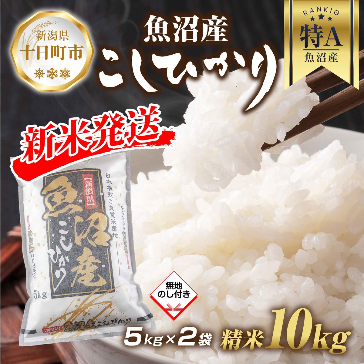 【ふるさと納税】【令和7年産】 無地熨斗 魚沼産 コシヒカリ 5kg × 2袋 計10kg 農家のこだわり 新潟県 十日町市 お米 こめ 白米 コメ 食品 人気 おすすめ 送料無料 精米 ご飯 ブランド米 銘柄米 　お届け：入金確認後、順次発送