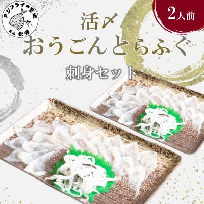 ふるさと納税 松浦市 活〆おうごんとらふぐ刺身2人前セット