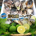 【ふるさと納税】岩牡蠣 殻付き 細島 岩ガキ 約4kg 日向特産 へべす 500g セット [道の駅日向 宮崎県 日向市 452060569] いわがき 岩がき 牡蠣 日豊海岸 濃厚 クリーミー