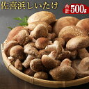 【ふるさと納税】佐喜浜しいたけ 約500g 10個～15個 生しいたけ 菌床しいたけ 椎茸 シイタケ 野菜 きのこ キノコ 送料無料 nc002