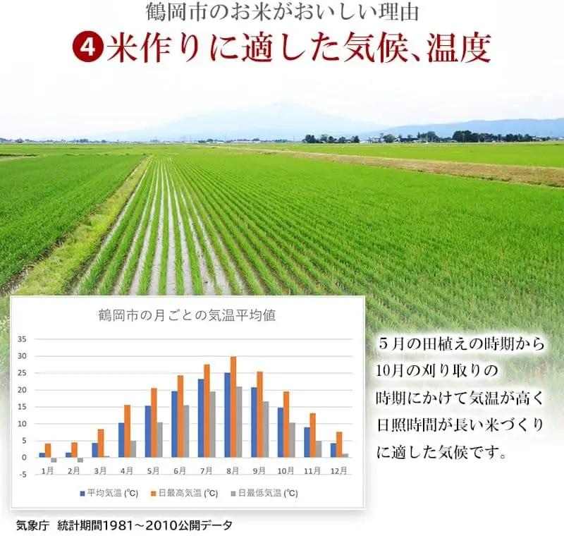【令和7年産】【3ヶ月定期便】はえぬき 精米 5kg×3回 計15kg 山形県 庄内産　米食味鑑定士お薦め　| 5キロ 定期便 白米 精米 美味しい お米 米 コメ こめ ブランド米 ご飯 ごはん 鶴