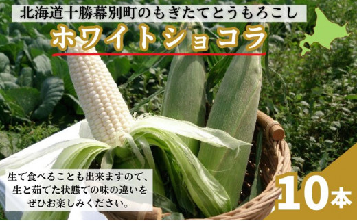 
[№5749-0724]［2024年出荷先行予約］もぎたてとうもろこし白色10本【十勝幕別 北海道ホープランド農場】
