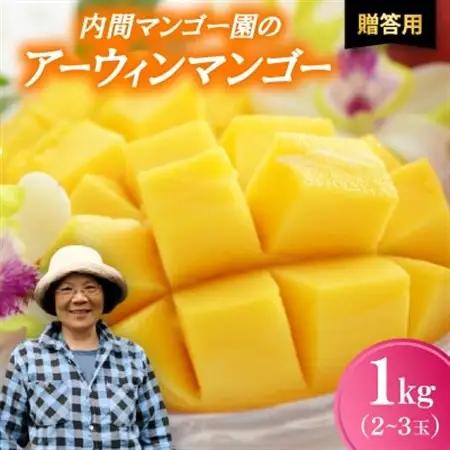 【2026年7月から順次発送・贈答用】内間マンゴー園のアーウィンマンゴー1kg(2～3玉)【配送不可地域：離島】【1695325】