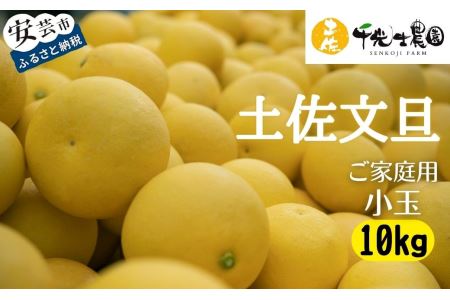 千光士農園の土佐文旦小玉10㎏（ご家庭用スレキズあり）｜文旦文旦文旦文旦文旦文旦文旦文旦文旦
