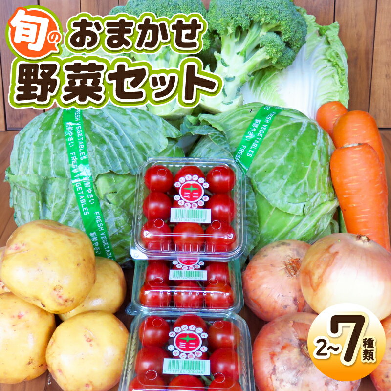 【ふるさと納税】旬のおまかせ 野菜 セット 2〜7種類 国産 新鮮 ミニトマト / キャベツ / 白菜 / サツマイモ / 玉ねぎ / ブロッコリー / 里芋 / じゃがいも 内容 おまかせ 詰め合わせ 旬の味覚 常備野菜 自然の旨み 食品 お取り寄せ 大阪府 泉佐野市 送料無料