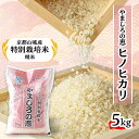 【ふるさと納税】京都山城産　特別栽培米　やましろの恵　5kg(令和5年産)【1233378】