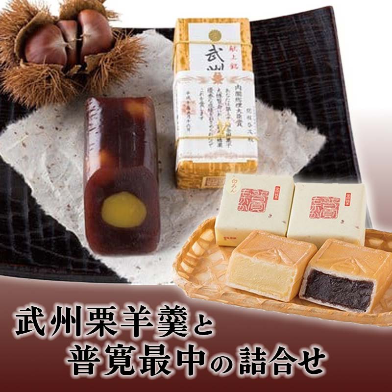【ふるさと納税】武州栗羊羹と普寛最中の詰合せ ご当地 菓子 銘菓 和菓子 栗 ようかん もなか セット 詰合せ お茶菓子 お茶請け 御菓子司せきね 食品 関東 F5K-537
