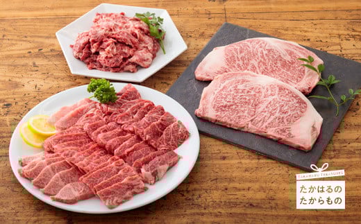  宮崎牛キングセット(2.6kg) 　 TF0287