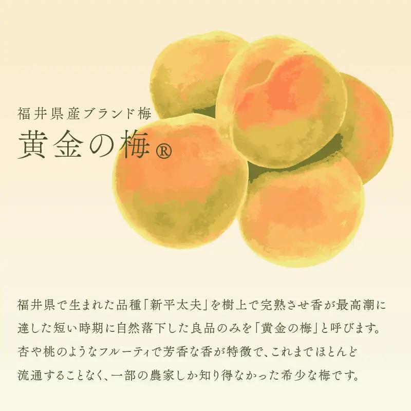 【期間限定】夏の水羊羹！「黄金ゼリー」 250g × 3箱（計750g）  白餡と「黄金梅」ピューレ [e07-a015]
