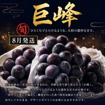 ふるさと納税 有田川町 【発送月固定定期便】紀州和歌山産旬のフルーツセットB(巨峰・梨・みかん)全3回 |  | 01