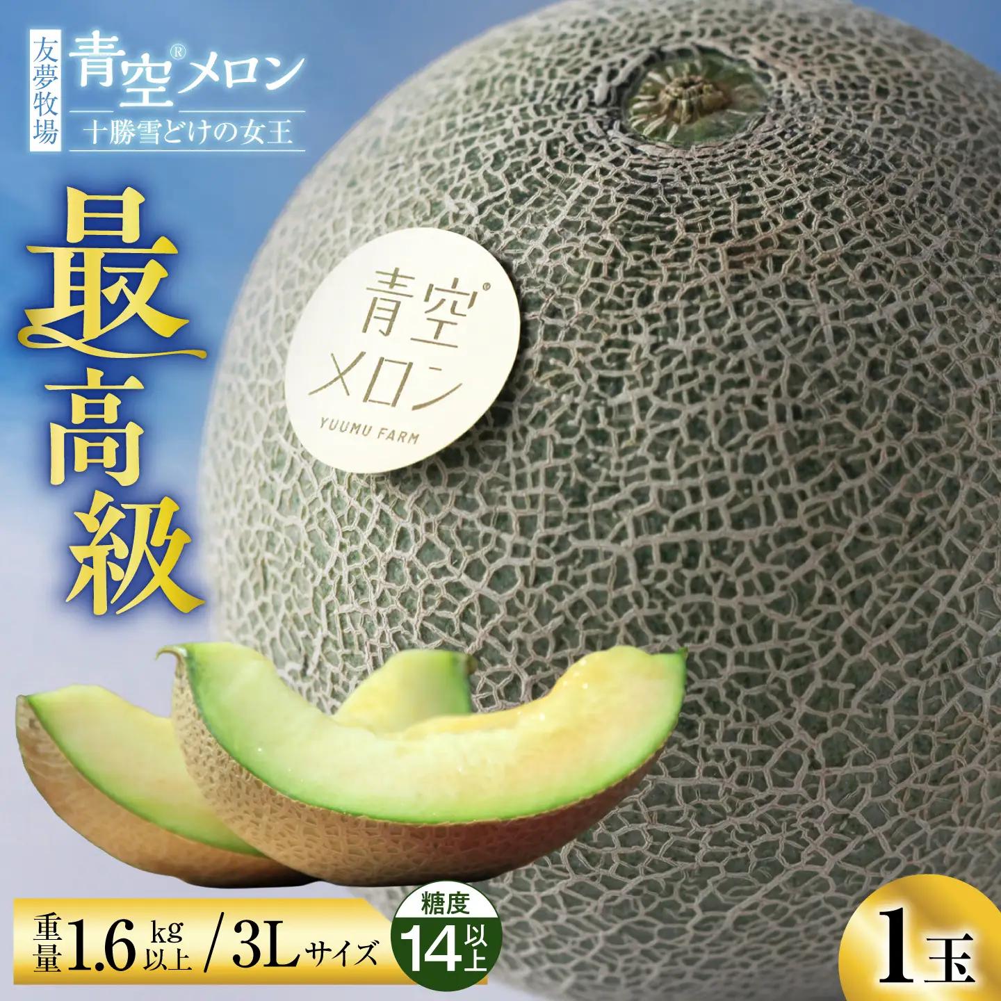 【先行予約】＼最高級／青空メロン 1玉 糖度14以上 メロン[BNBM001]