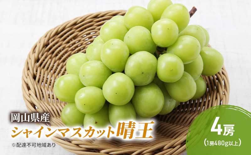 ぶどう 2026年 先行予約 シャインマスカット 晴王 4房 (1房480g以上) ブドウ 葡萄 岡山県産 国産 フルーツ 果物 ギフト