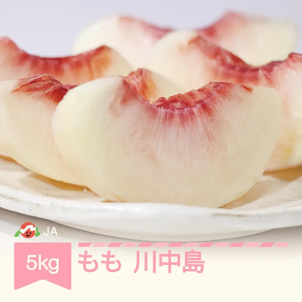 【先行予約】もも 桃 川中島 約5kg 令和9年産 ja-moknx5