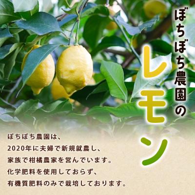 ふるさと納税 西予市 <ぼちぼち農園のレモン 家庭用 約3kg> 3キロ レモン れもん 檸檬 訳あり |  | 01