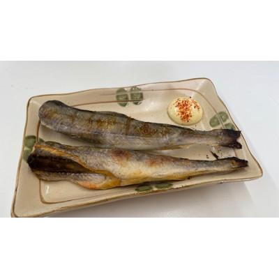 ふるさと納税 厚岸町 【訳あり】北海道産 氷下魚 一夜干し 1kg |  | 01