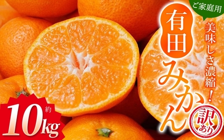 【訳あり】農家直送 有田みかん 約10kg ご家庭用 サイズ混合 ※2025年11月中旬より順次発送予定（お届け日指定不可）※北海道・沖縄・離島への配送不可　訳ありみかん 温州みかん サイズ混合 訳ありみかん 温州みかん 有機質肥料100% ふるさと納税 柑橘 有田 産地直送【nuk138E】