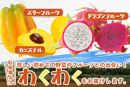 沖縄県 石垣島の野菜・フルーツBOX 1箱 ≪野菜4～5種類、フルーツ1~2種類≫ じょーとーまーさん(とても美味しい) 石垣島の野菜とフルーツの詰め合わせセットをお楽しみください！！｜沖縄 石垣島 