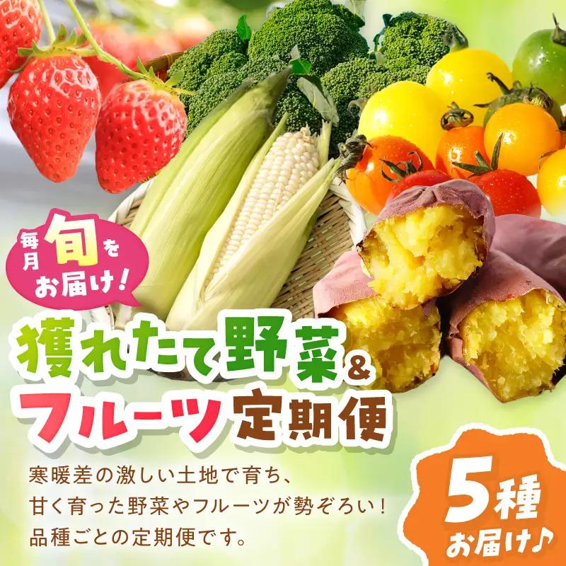 【旬の野菜定期便】イチゴやヤサイ 全5種  旬野菜
