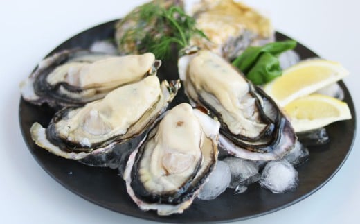 プレミアムオイスター 殻付き 牡蠣 12～15個入 生食 瀬戸内海 牡蠣 カキ 海鮮 【2025年12月下旬～2026年3月上旬発送予定】