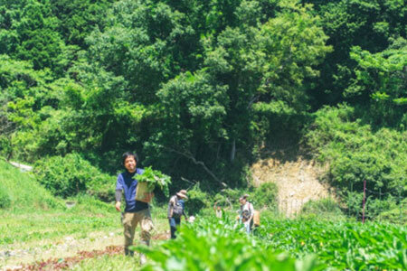山コーラ 2本セット ～YAMA COLA 大阪能勢のクラフトコーラシロップ～