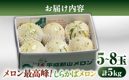 【2026年3月下旬〜発送】しらかばメロン 5玉から8玉 約5kg / メロン めろん 果物 フルーツ / 南島原市 / うえだメロン園[SAD009]