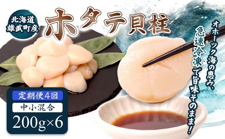 
            【定期便4回】　北海道雄武町産ほたて貝柱 中小混合 200g×6 (冷凍) 使い切りパック | ふるさと納税 北海道 雄武 ホタテ 帆立 ほたて 小粒 中粒 大粒 200g×6 4.8kg 冷凍 オホーツク オホーツク産 刺身 魚貝 魚介 海鮮 海産 海産物 魚介類 お取り寄せ ワンストップ マイページ 雄武漁業協同組合【07143】
          