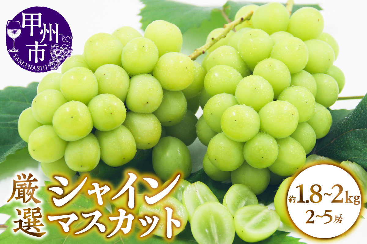 甲州市産 厳選 シャインマスカット 約1.8～2kg（2～5房）【2025年発送】（APX）B18-195