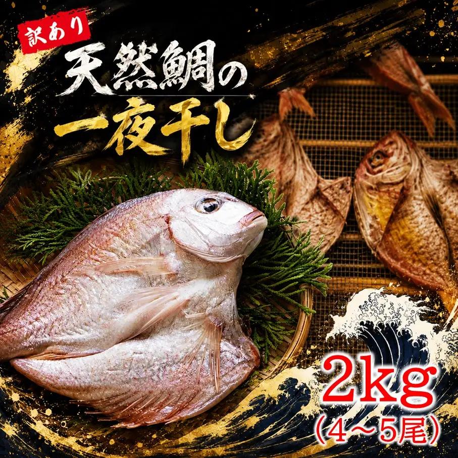 天然鯛の一夜干し 訳あり 2.0kg（４尾〜５尾） 干物 タイ おかず つまみ_1613R