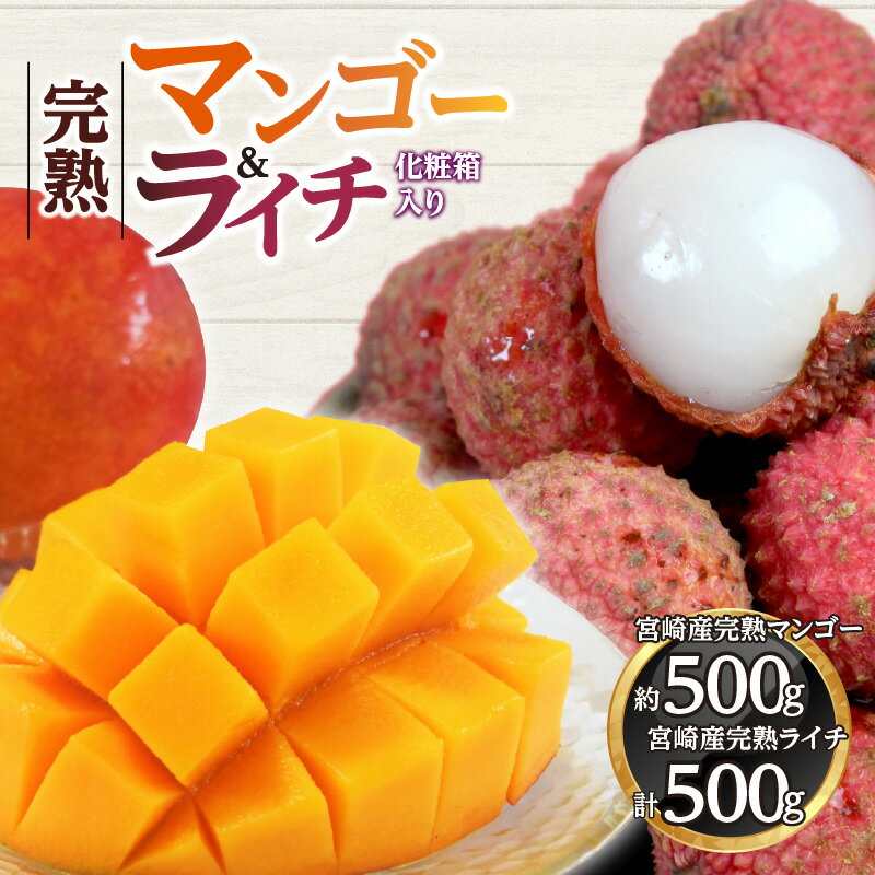 【ふるさと納税】《2026年発送 先行予約》【数量・期間限定】宮崎マンゴー4L×1・宮崎ライチ12玉 果物 果実 フルーツ トロピカルフルーツ PREMIUM みやざきブランド 宮崎県産 完熟 マンゴー ライチ 宮崎マンゴー 4L 1個 宮崎ライチ 12玉 化粧箱 お土産 ギフト 宮崎市