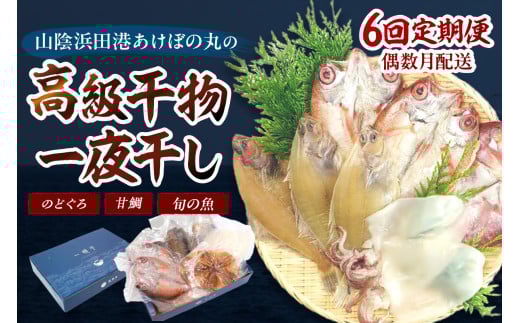 【定期便】山陰浜田あけぼの丸が贈る高級干物四季の味（年6回偶数月発送）10,12,2,4月のどぐろ他、6,8月甘鯛他を配送 魚介類 のどぐろ アカムツ 干物 干もの 一夜干し 定期 偶数月 6回 【146_1088】