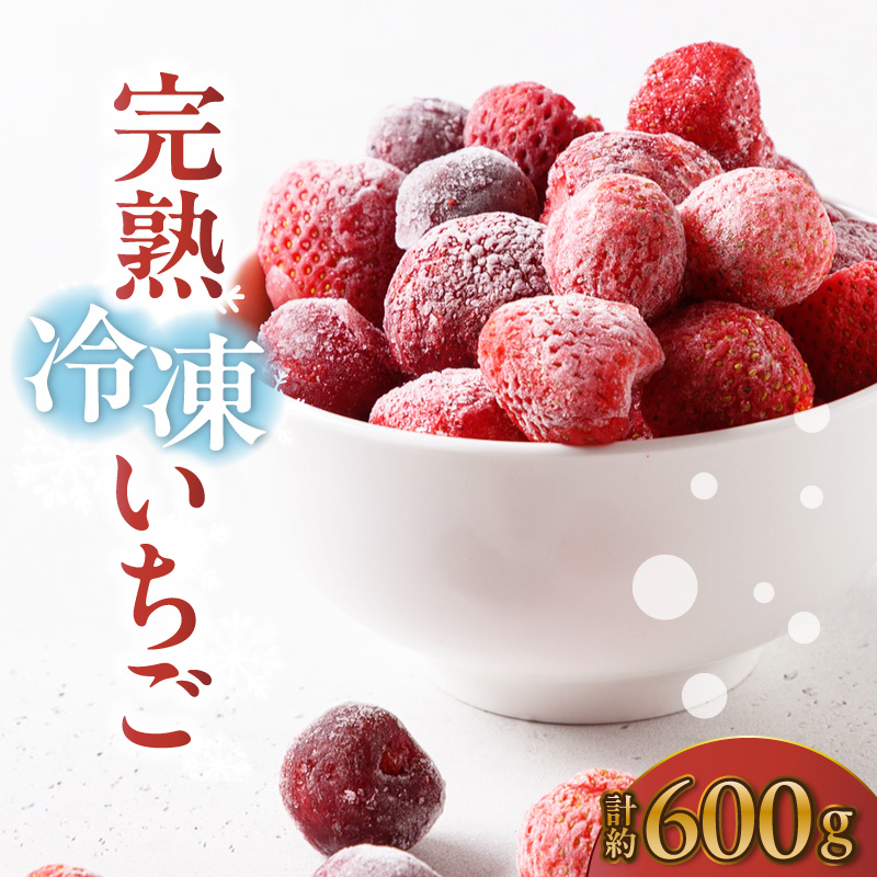【先行予約】完熟冷凍いちご 【600g×1袋】計600g いちご 苺 ストロベリー 冷凍 フローズン 美味しい 甘い 大粒 大きい 果物 フルーツ 数量限定 farmいちごろ 愛知県 常滑市