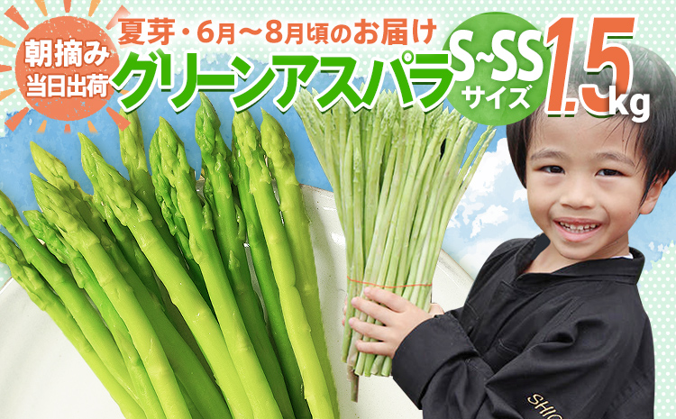 アスパラガス 夏芽 S～SS 1.5kg【6月から8月お届け】BT09