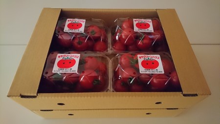 採れたてミディトマト 4kg（500g × 8パック） _b-249