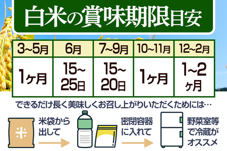 【白米】＜令和6年産 新米予約＞ 《定期便2ヶ月》秋田県産 あきたこまち 10kg (5kg×2袋)×2回 10キロ お米【2024年秋 収穫後に順次発送開始】