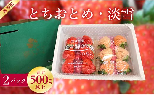 
            【1～4月発送】いちご 苺 イチゴ 淡雪 とちおとめ 紅白いちご（とちおとめ＆淡雪）2パックセット 厳選 セット フルーツ 季節限定 希少  高級 新鮮 1箱 送料無料 ギフト 茨城県 鉾田市 野菜王国
          