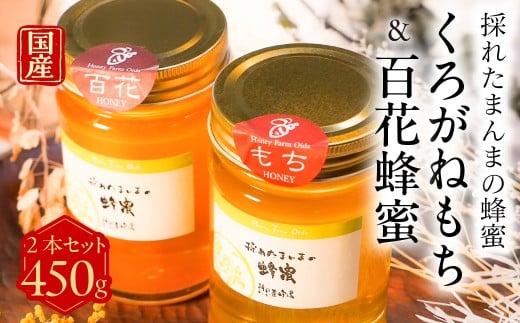 【国産蜂蜜】食べ比べ４５０ｇ2本セット（くろがねもち蜂蜜、百花蜂蜜）