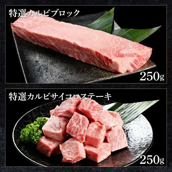 熟成肉 土佐和牛 詰め合わせ6種 【株式会社LATERAL】 [ATAY079]