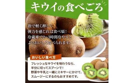 【先行予約】 先行予約！和歌山県産 秀品 キウイフルーツ 大玉15個入 こだわり農家厳選  【2026年12月中旬～2027年1月中旬頃に順次発送予定】/ キウイ キウイフルーツ 果物 フルーツ おや