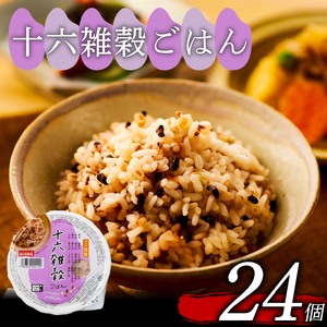 ご飯パック 十六雑穀ごはん 160g 24個 お米 レトルト 食品 無添加 国産 レンジ 簡単調理 温めるだけ ギフト 雑穀 雑穀 雑穀 雑穀 雑穀 雑穀 雑穀 雑穀 雑穀 雑穀 雑穀 雑穀